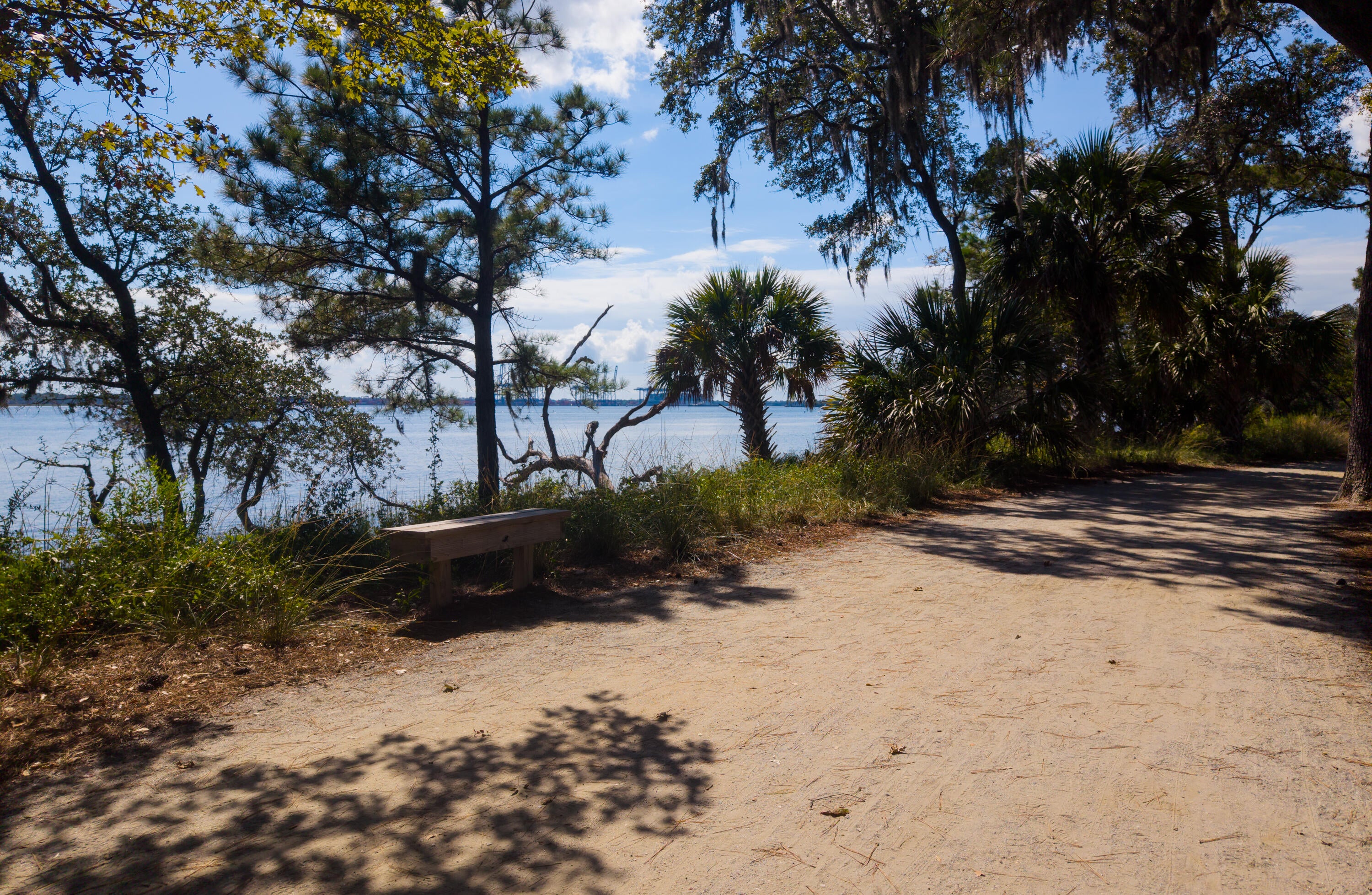 130 River Landing Drive Unit 3120