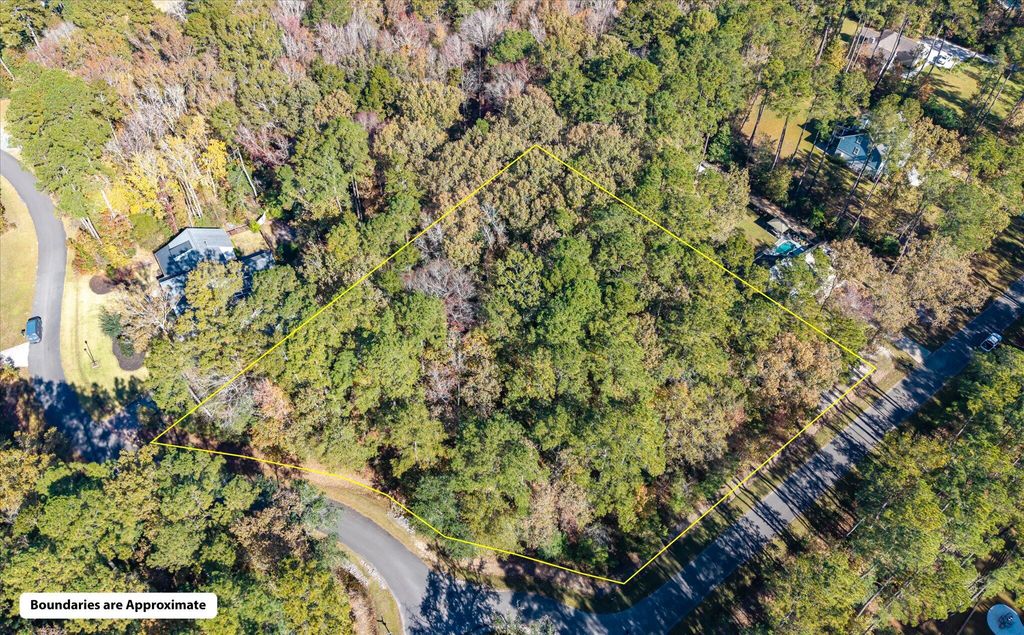 Photo of 28 Buttonbush Drive, Ravenel, SC 29470 (MLS # 25030853)