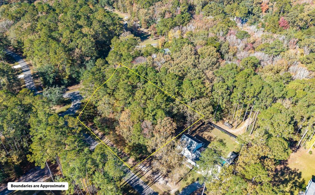 Photo of 28 Buttonbush Drive, Ravenel, SC 29470 (MLS # 25030853)