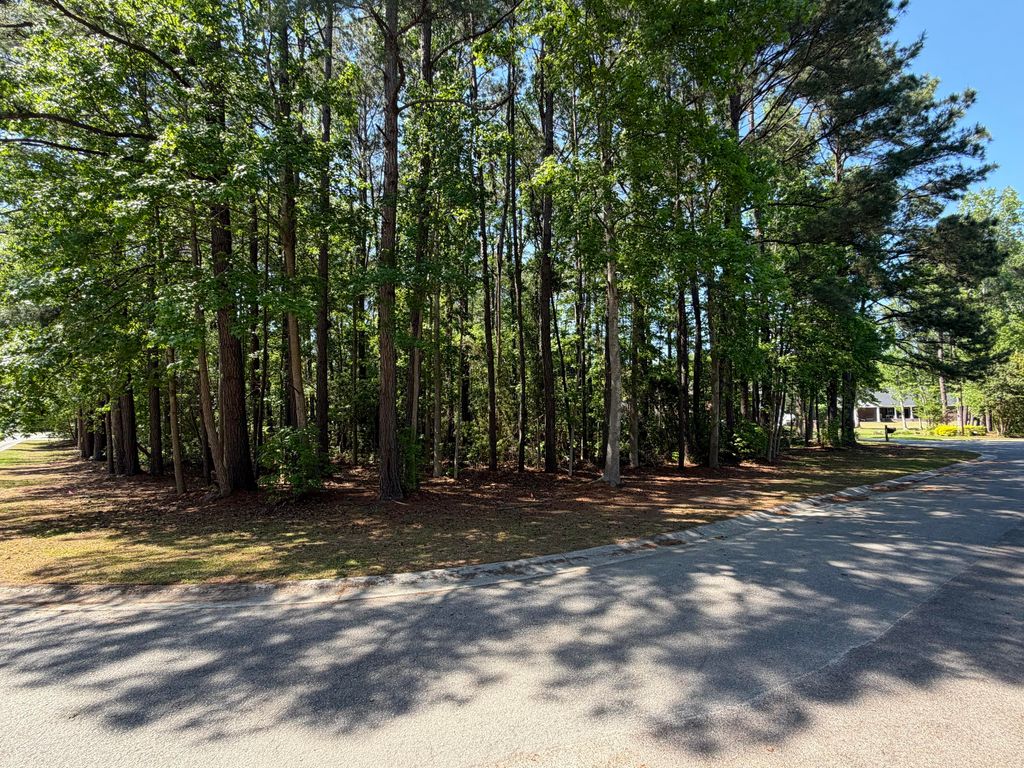Photo of 2008 Shoreside Court, Moncks Corner, SC 29461 (MLS # 26011014)