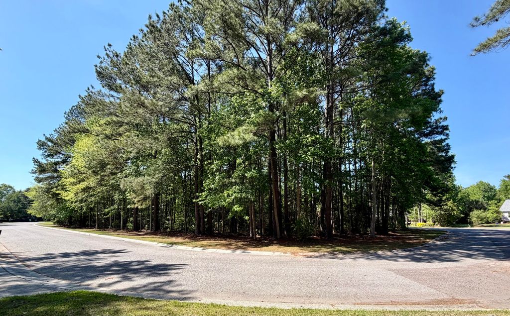 Photo of 2008 Shoreside Court, Moncks Corner, SC 29461 (MLS # 26011014)