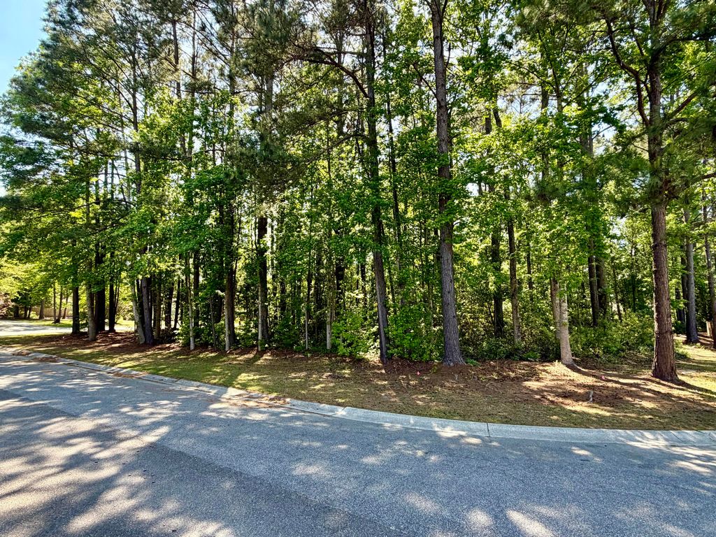 Photo of 2008 Shoreside Court, Moncks Corner, SC 29461 (MLS # 26011014)