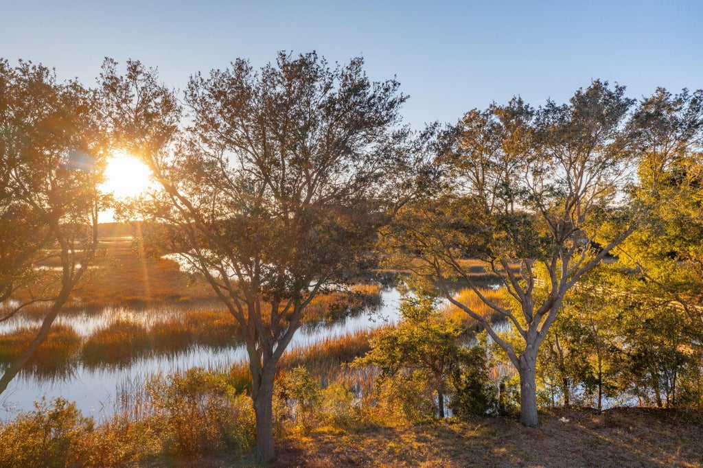 Photo of 832 Curved Creek Court, Charleston, SC 29412 (MLS # 26027618)
