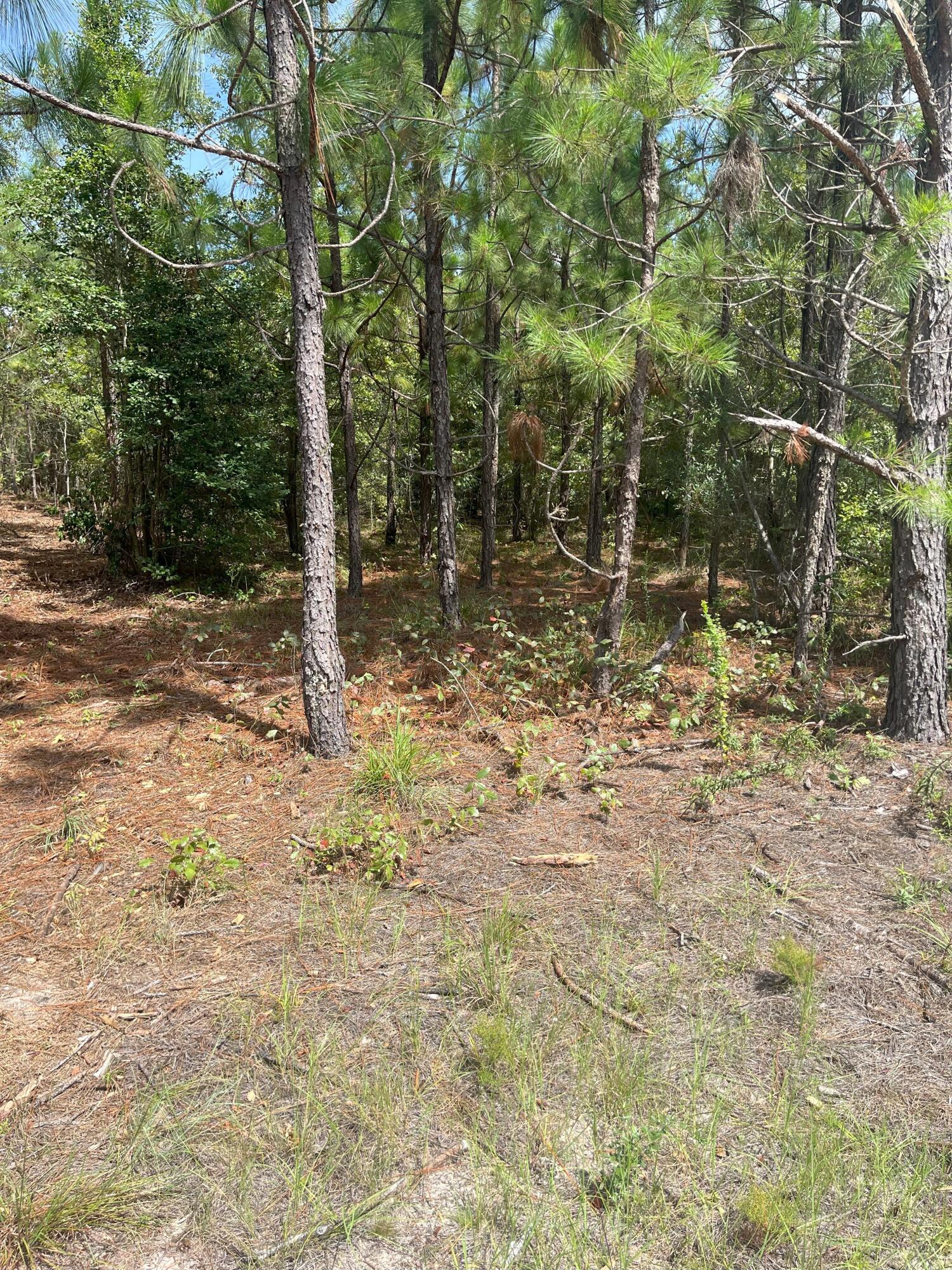 Ppf 5 Payne Pond Road Ppf 5