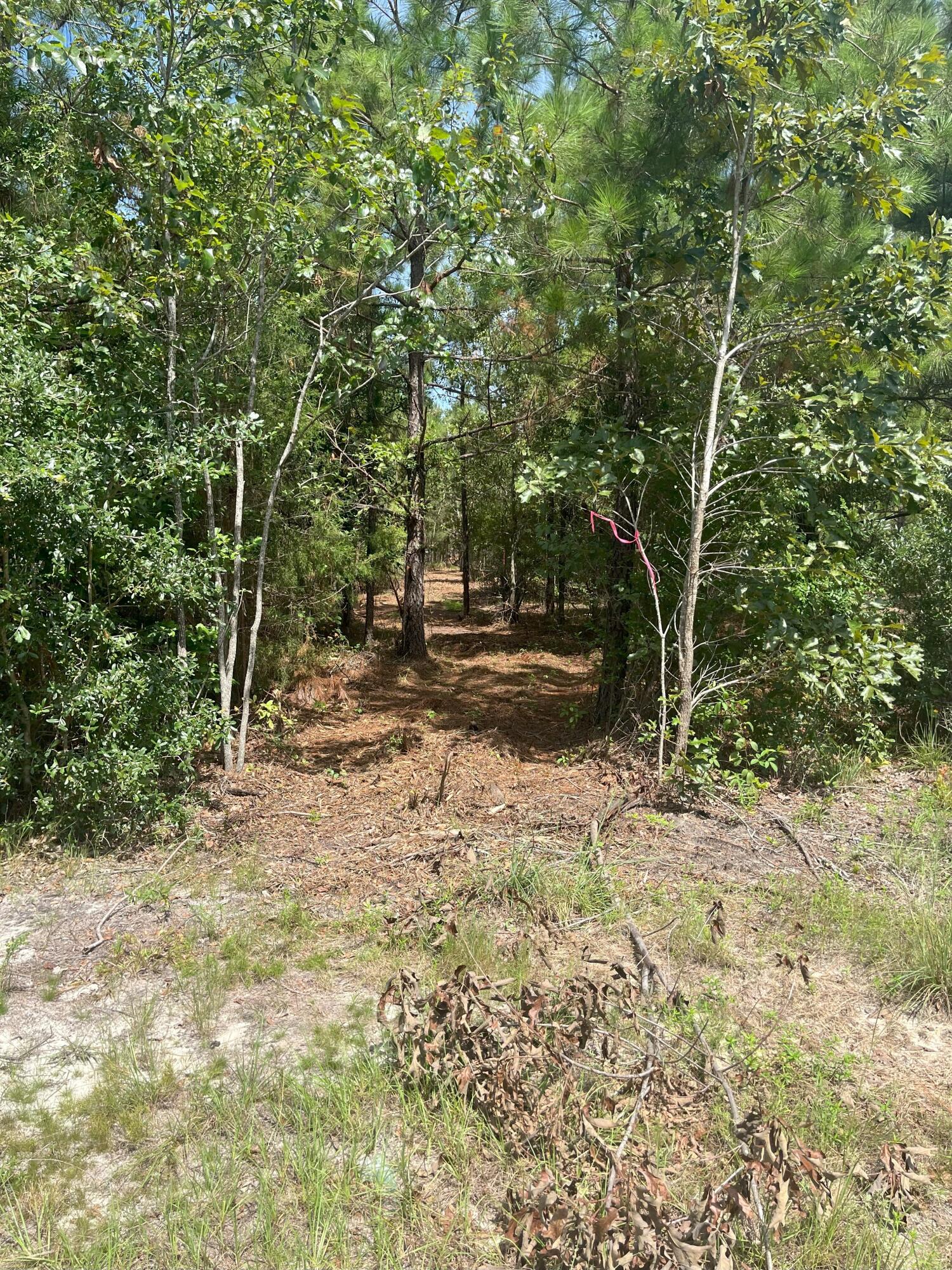 Ppf 5 Payne Pond Road Ppf 5