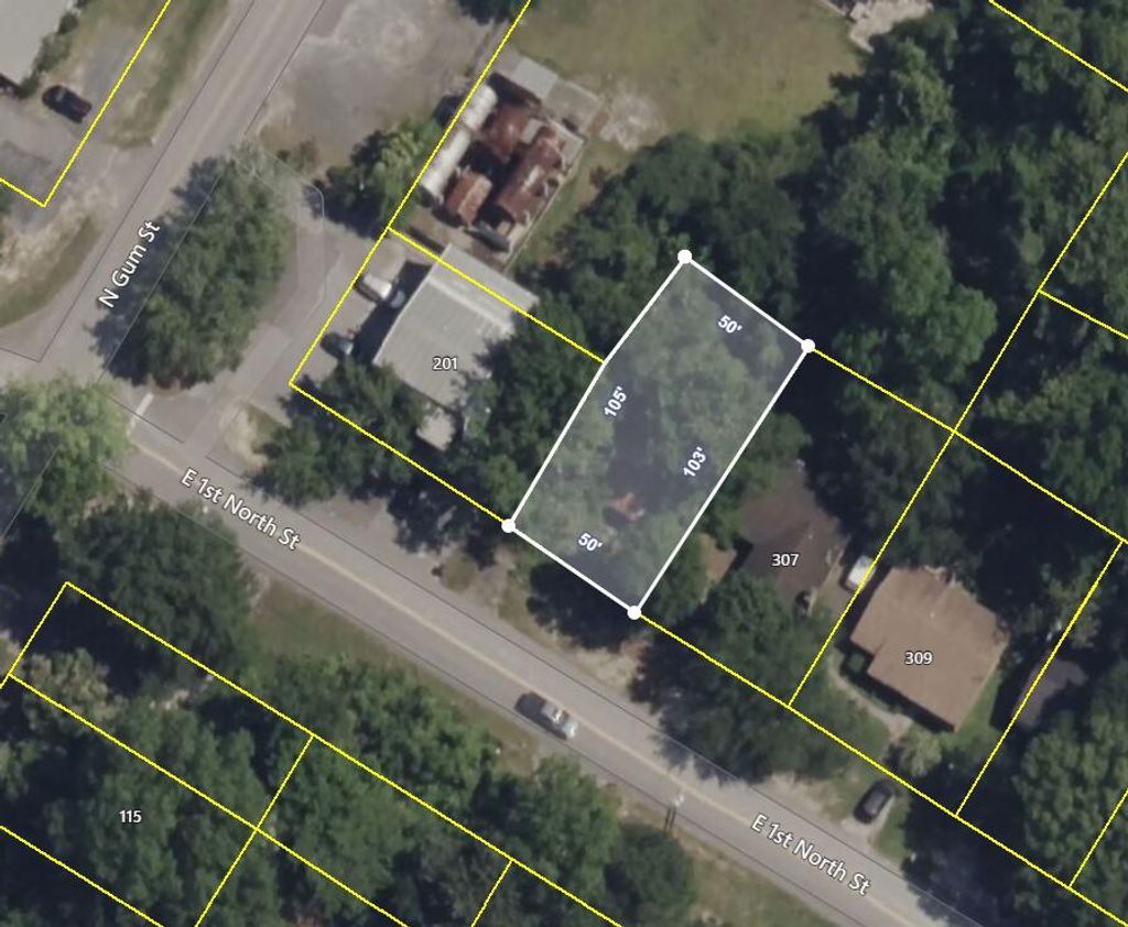 Photo of 305 E 1st N Street, Summerville, SC 29483 (MLS # 25025400)