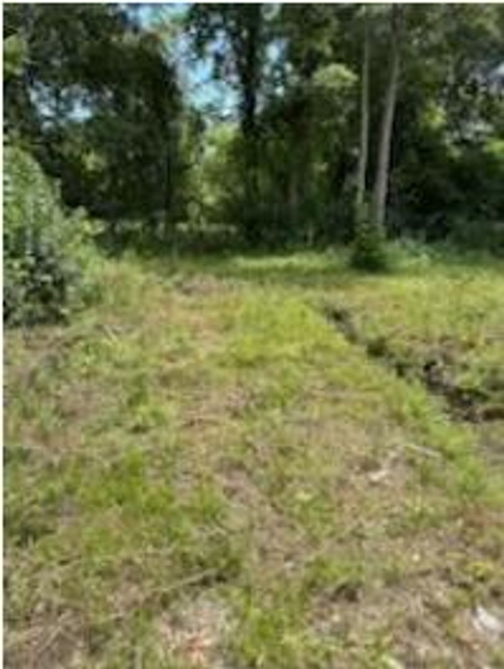 Photo of 305 E 1st N Street, Summerville, SC 29483 (MLS # 25025400)
