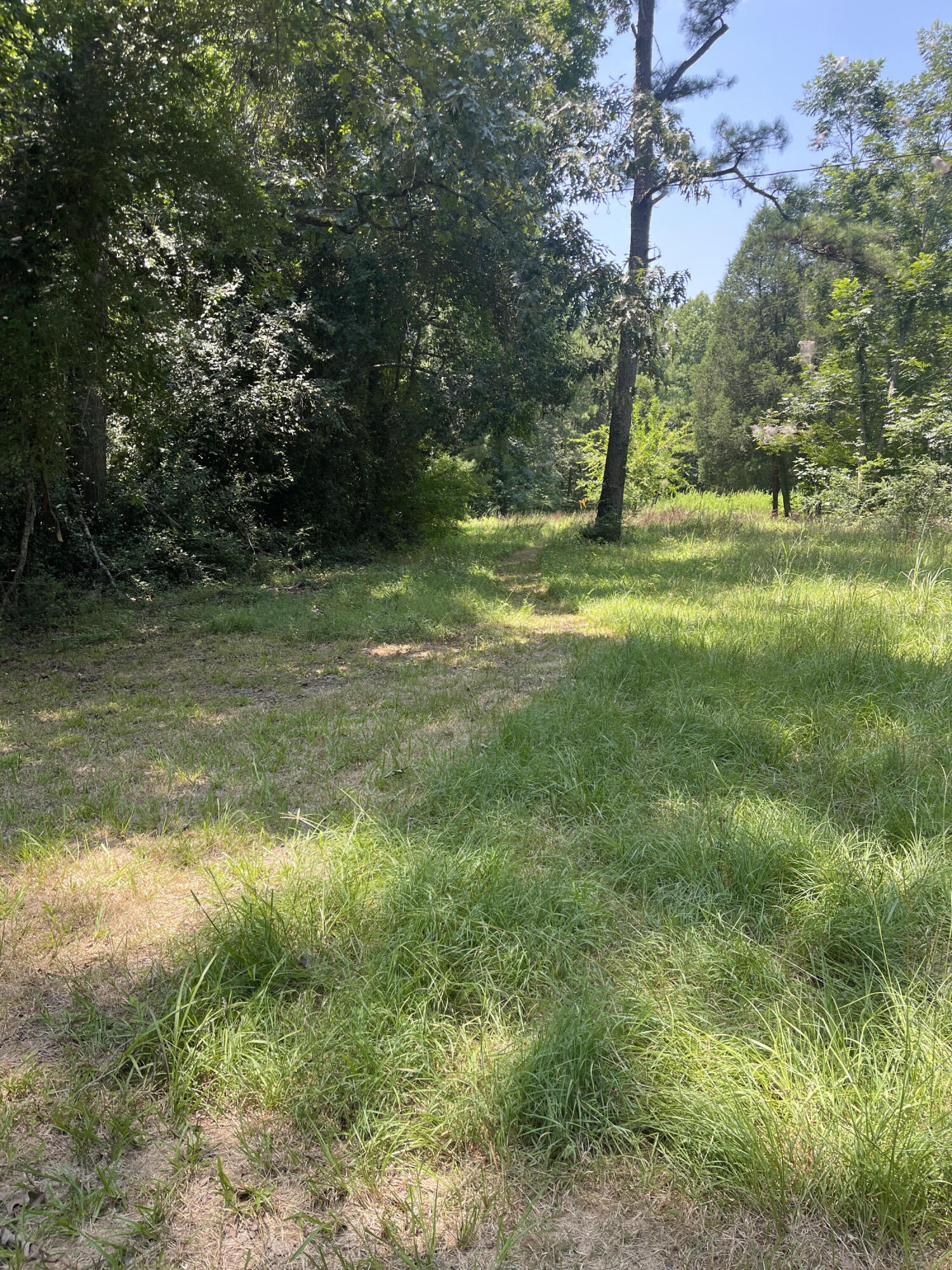 Photo 3 of 7 of 0 Old Hwy 52 land