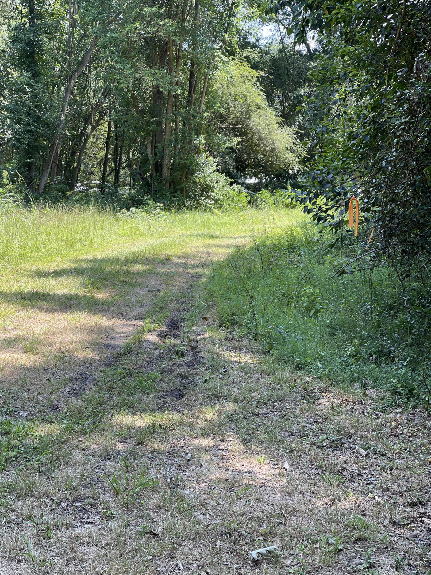 Photo 4 of 7 of 0 Old Hwy 52 land