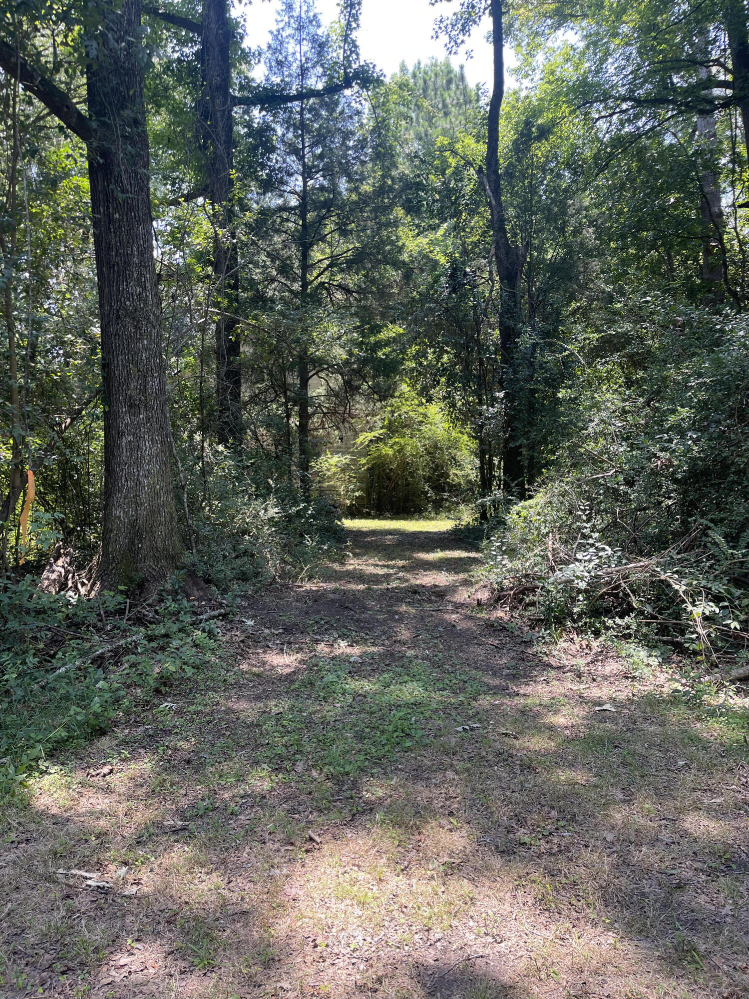 Photo 5 of 7 of 0 Old Hwy 52 land