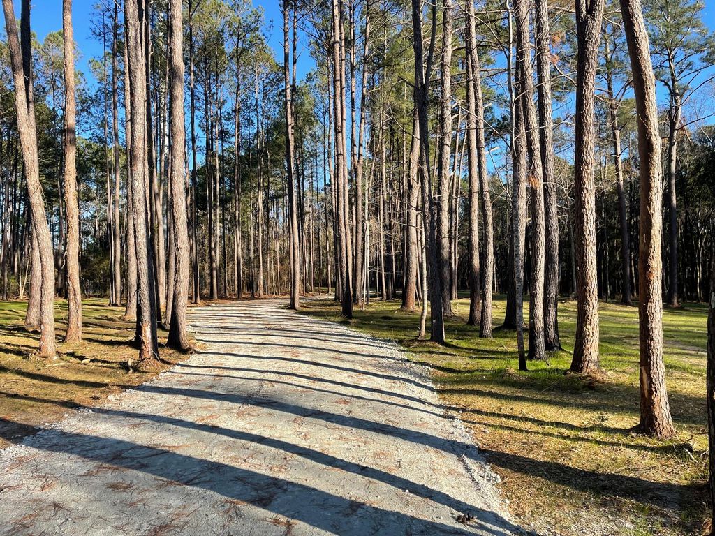Photo of 127 Gen Estates Lane, Summerville, SC 29486 (MLS # 25002303)
