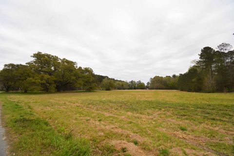 0 Morrisville Road Andrews SC 29510