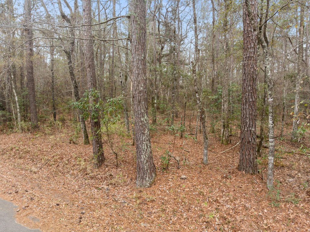 Photo of 117 Cherrywood Drive, Summerville, SC 29483 (MLS # 26003450)