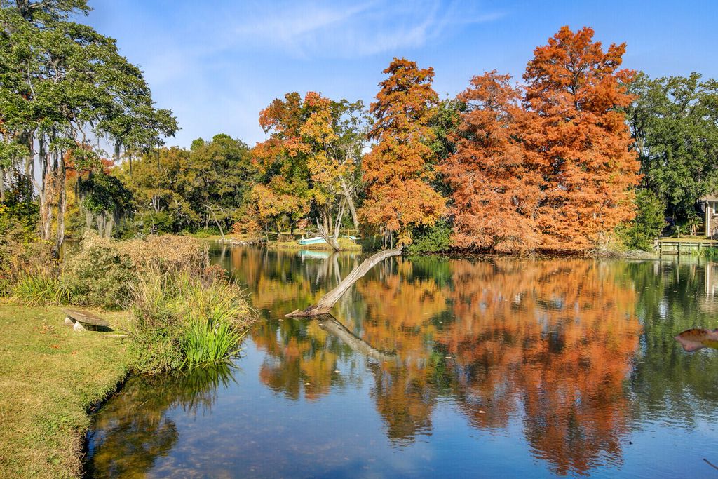 Photo of 672 Ayers Drive, Charleston, SC 29412 (MLS # 25030719)