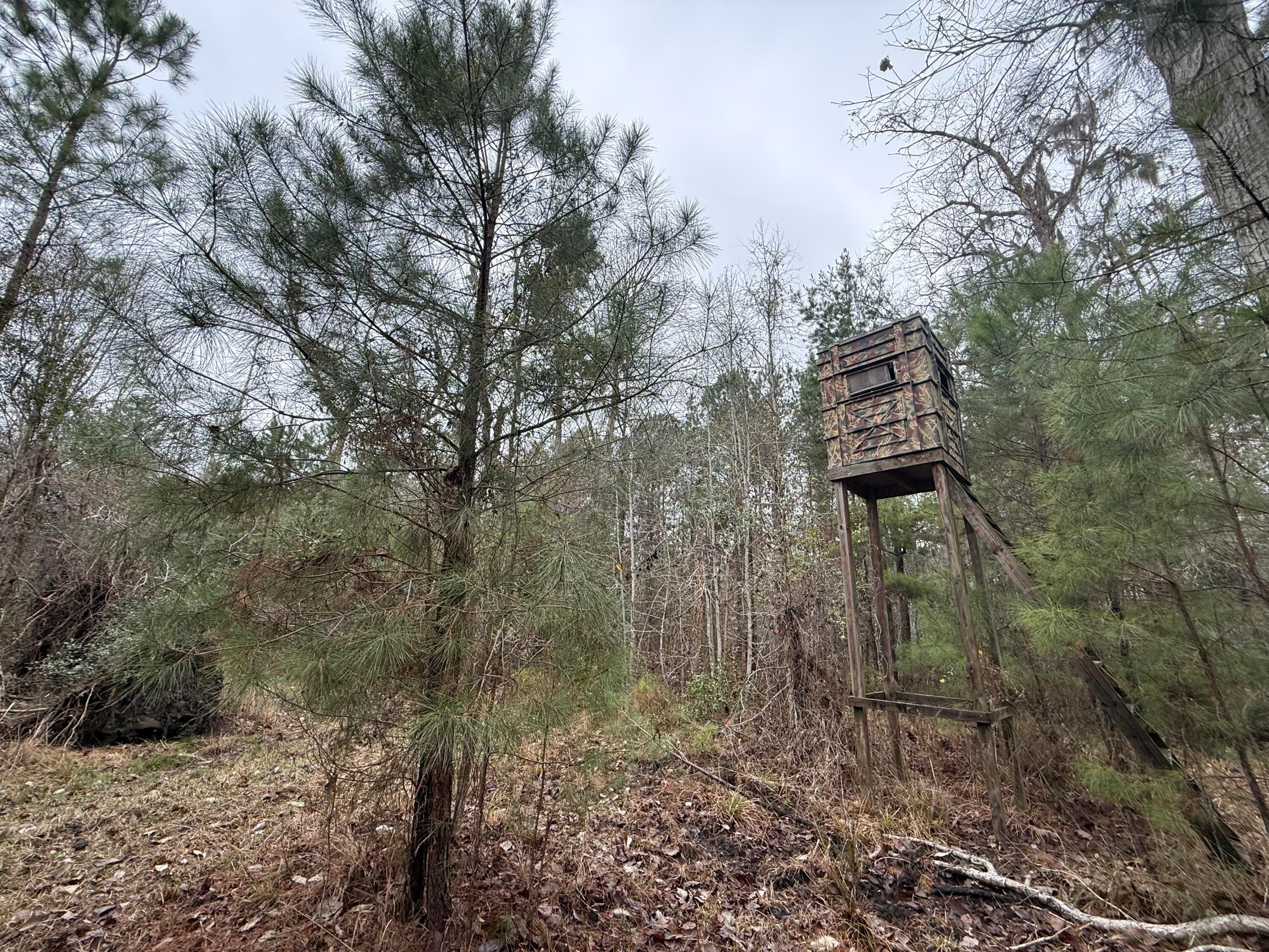 9750 Cottageville Highway, Cottageville, SC, 29435