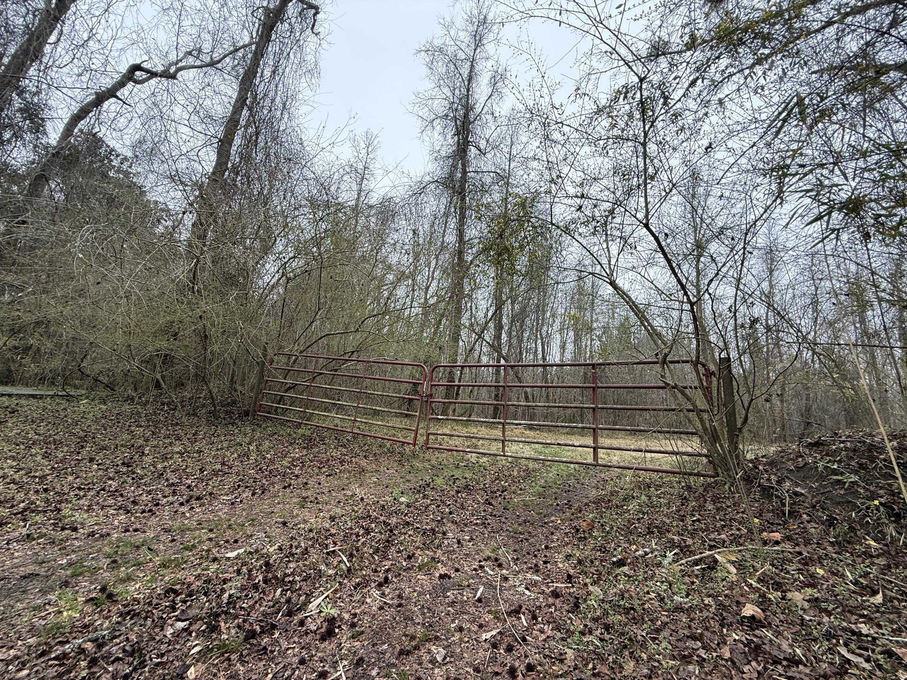 9750 Cottageville Highway