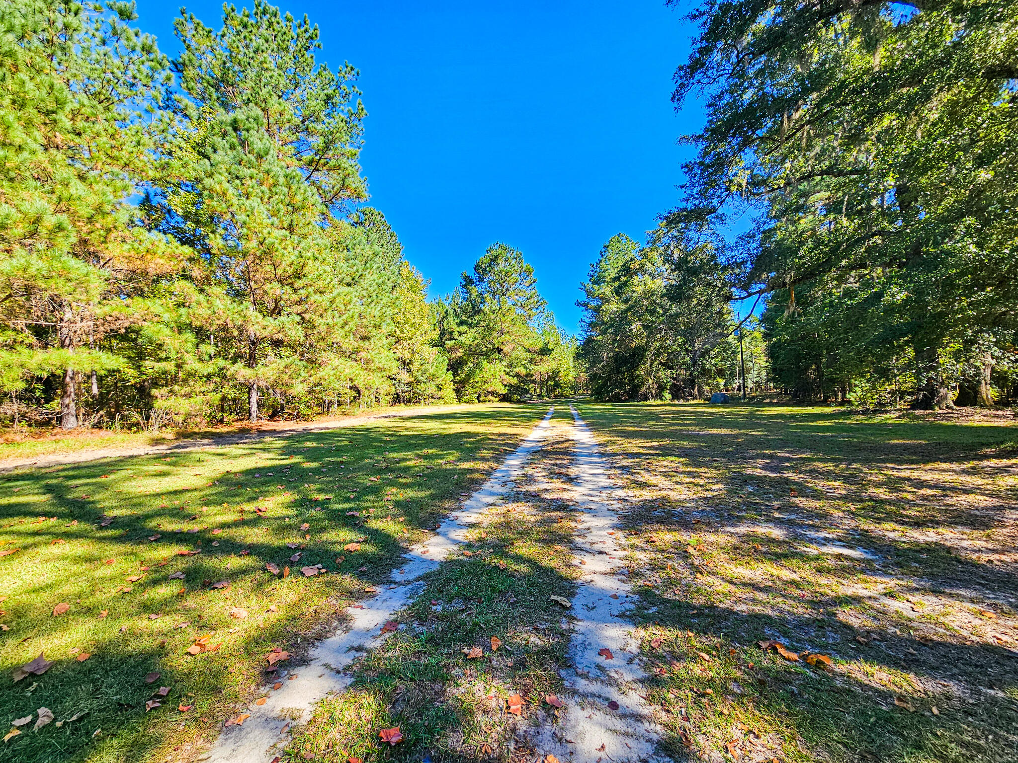 2869 Turkey Cut Road