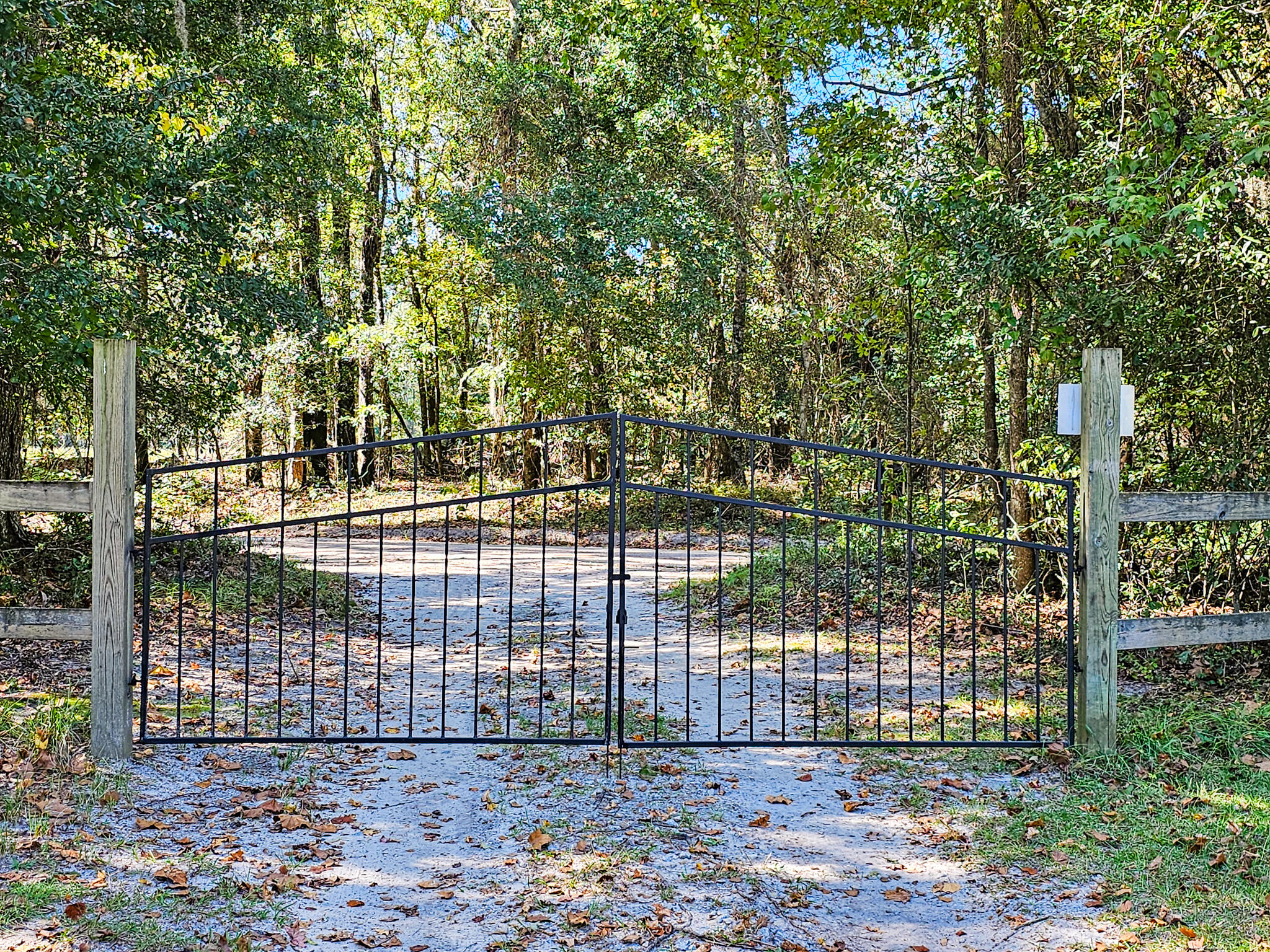 2869 Turkey Cut Road