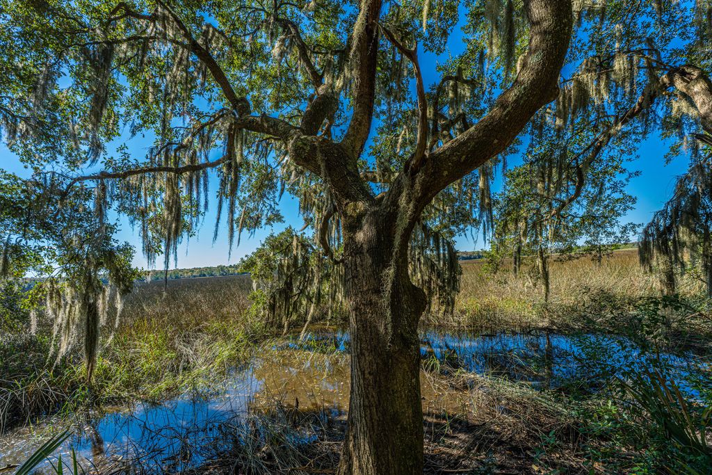 Photo of 4654 Palm View Circle Circle, North Charleston, SC 29418 (MLS # 25030308)