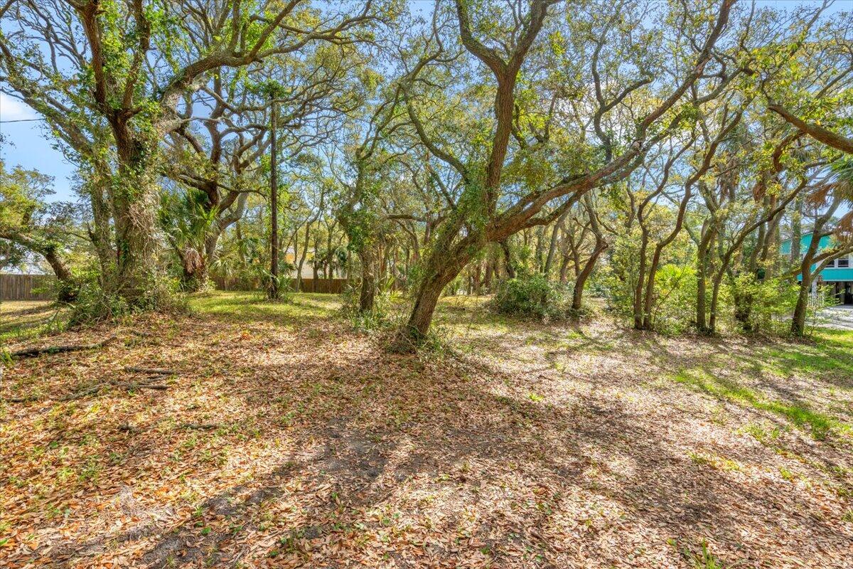 1214 B Tabby Drive