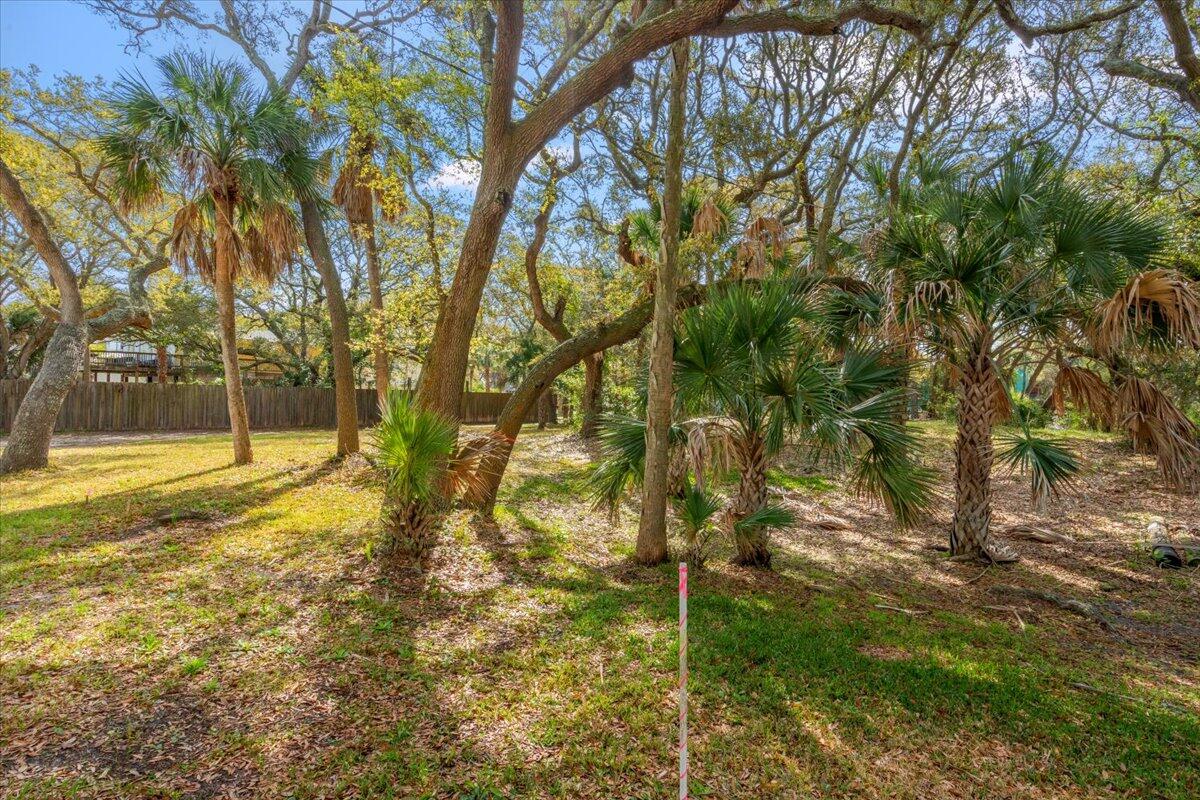 1214 B Tabby Drive