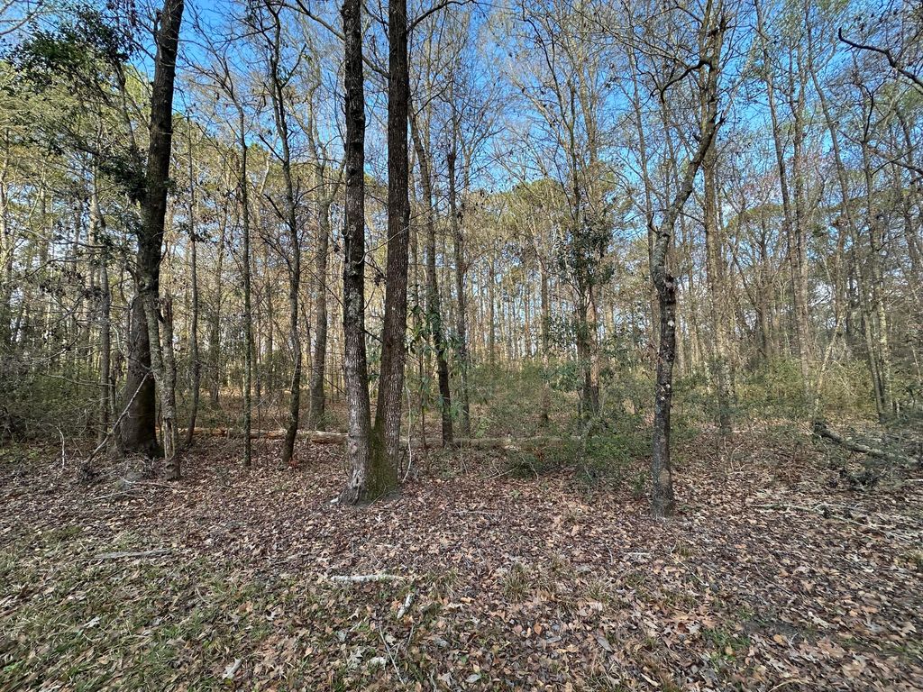 Photo of 0 Cooke Road #Lot 3, Johns Island, SC 29455 (MLS # 26007246)