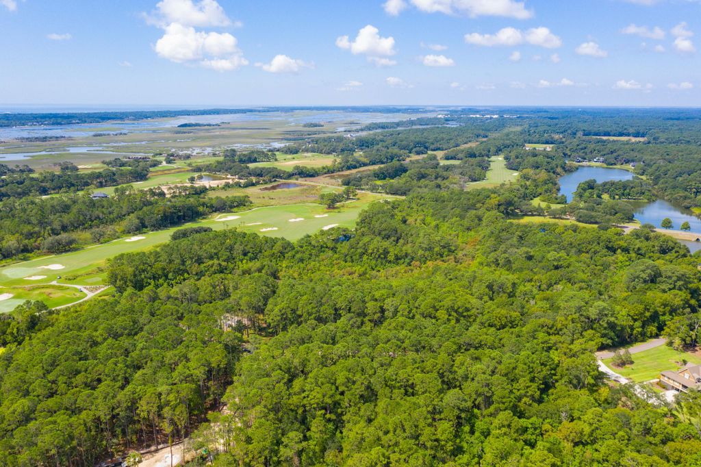 Photo of 4117 Nesting Egret Drive, Johns Island, SC 29455 (MLS # 25024075)
