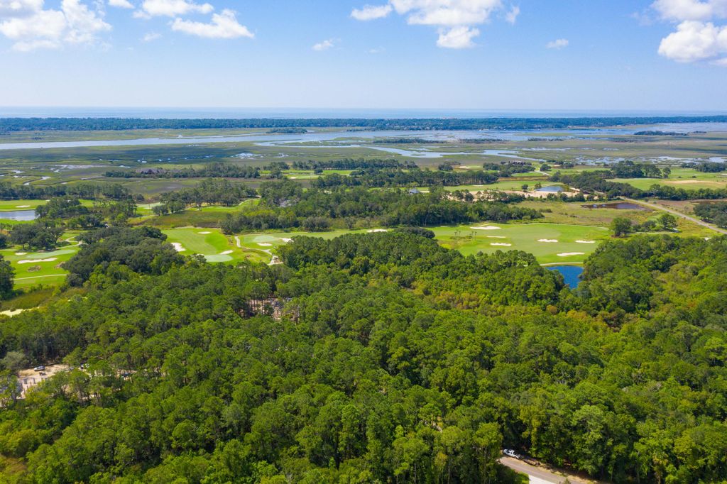 Photo of 4117 Nesting Egret Drive, Johns Island, SC 29455 (MLS # 25024075)