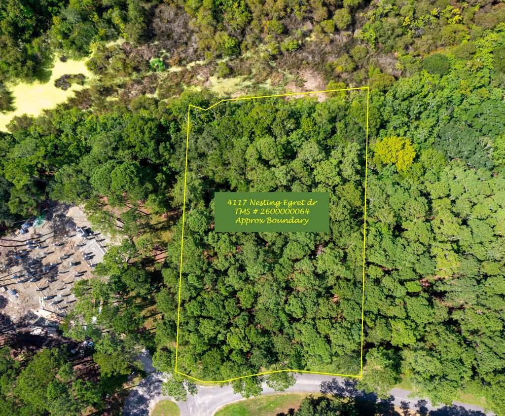 Photo of 4117 Nesting Egret Drive, Johns Island, SC 29455 (MLS # 25024075)