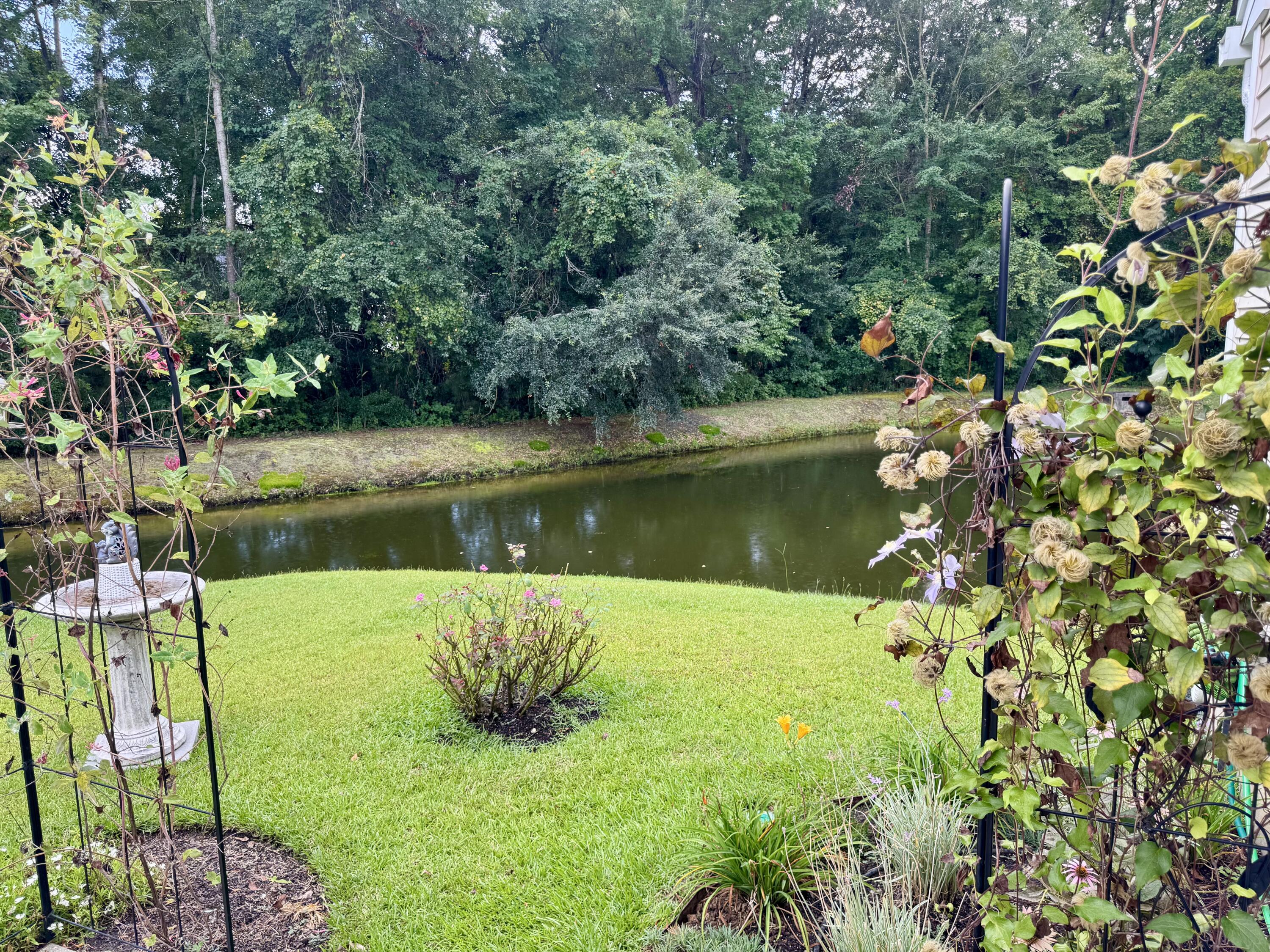 2023 Bearclaw Drive