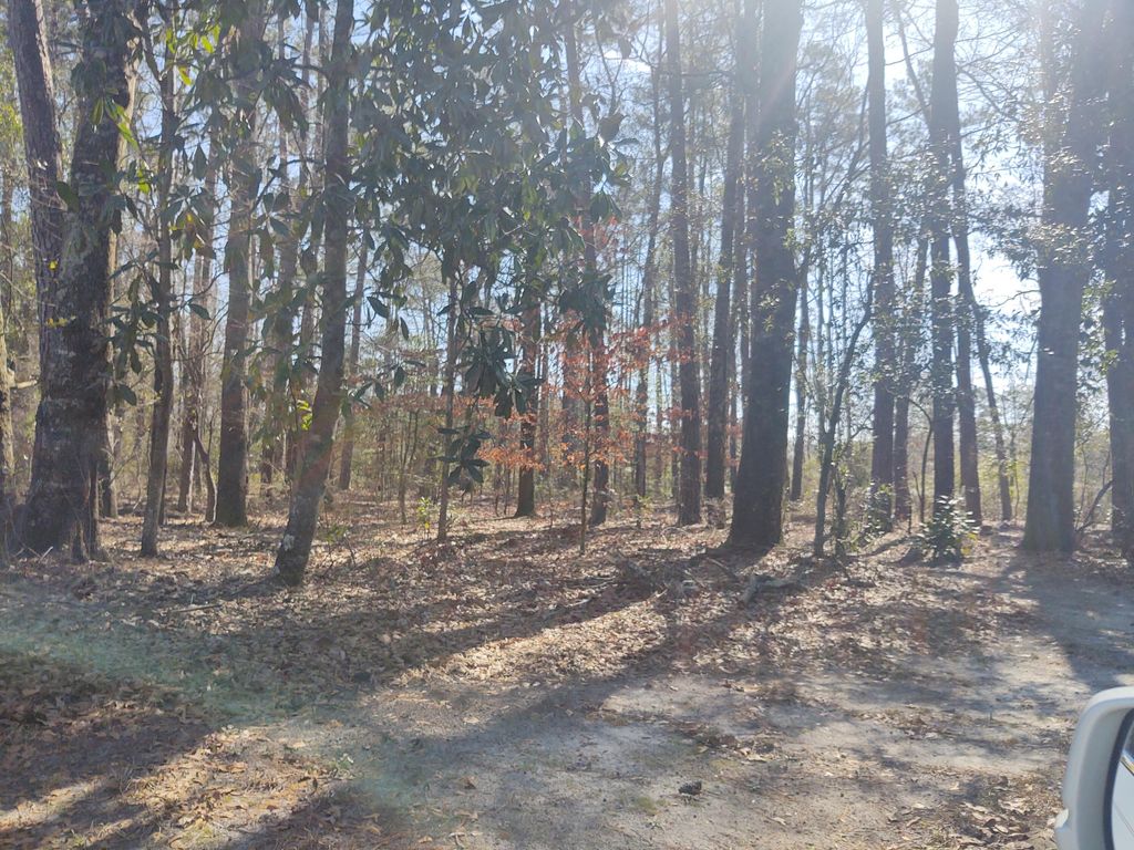Photo of 10839 Dorchester Road, Summerville, SC 29485 (MLS # 25025517)