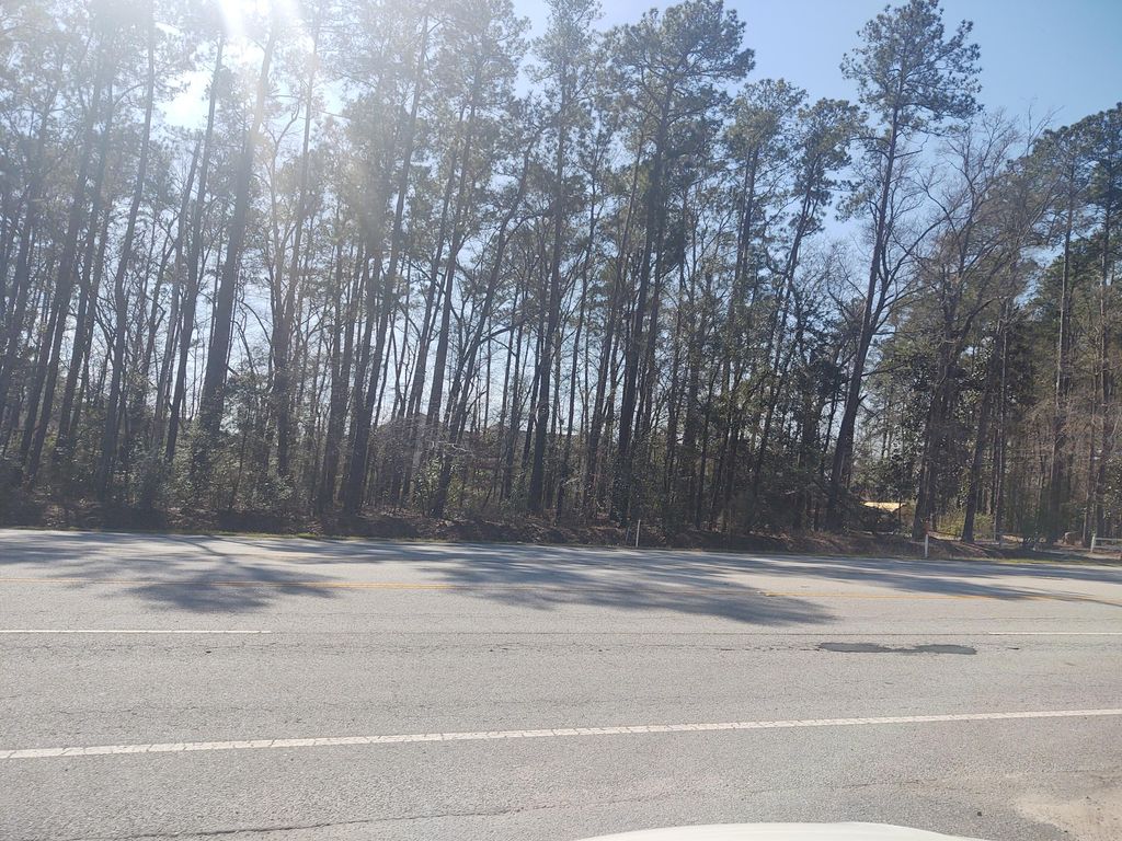 Photo of 10839 Dorchester Road, Summerville, SC 29485 (MLS # 25025517)