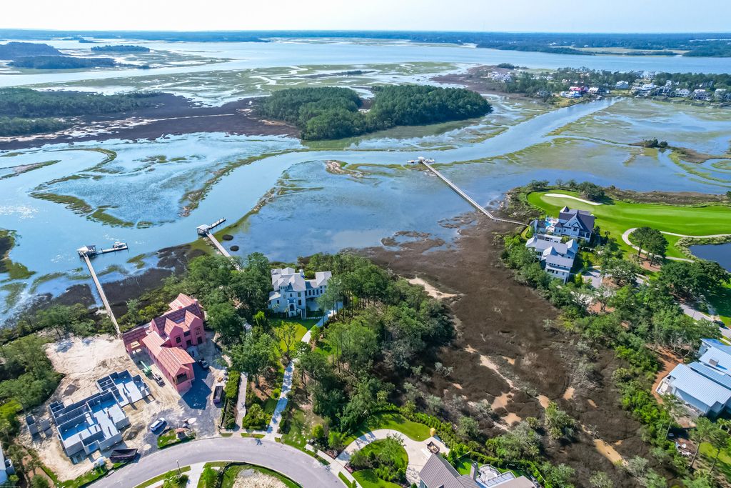 Photo of 117 Nobels Point Street, Charleston, SC 29492 (MLS # 23012523)
