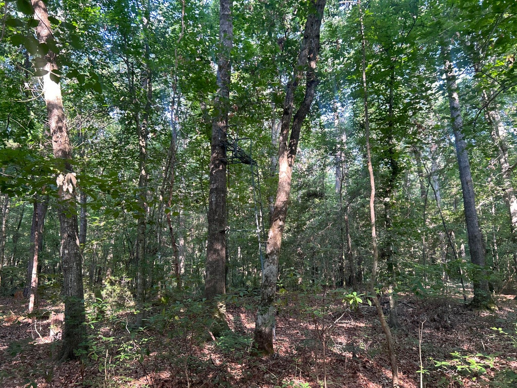 Photo of 0 Swamp Fox Drive, Summerville, SC 29485 (MLS # 26018409)