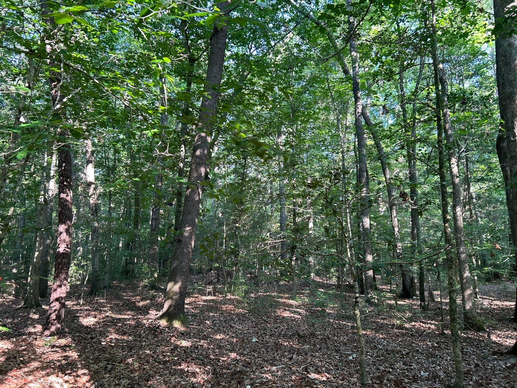 Photo of 0 Swamp Fox Drive, Summerville, SC 29485 (MLS # 26018409)