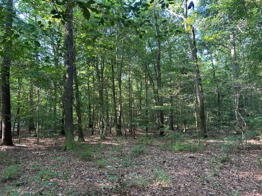 SWAMP FOX LN, GOOSE CREEK, SC 29445 - Image fa9adefe6446d0cd4638e645ff719950/964501434