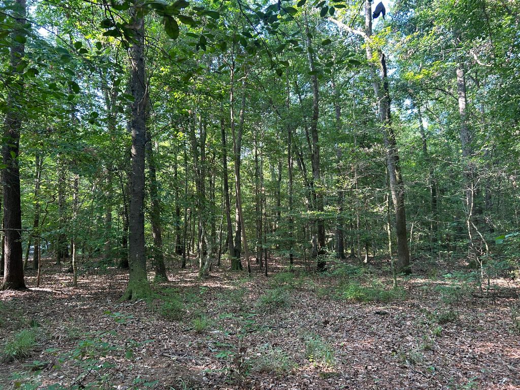 Photo of 0 Swamp Fox Drive, Summerville, SC 29485 (MLS # 26018409)