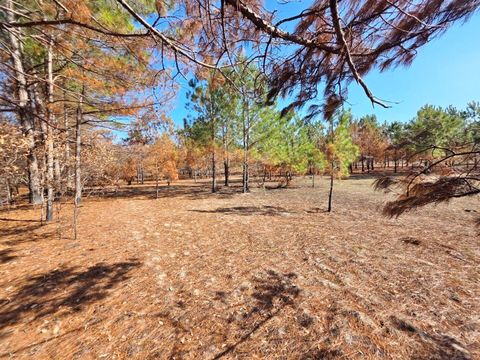 00 Pompey Road Manning SC 29102