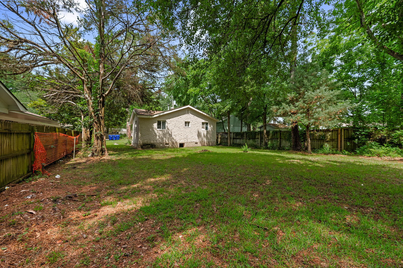638 Cashew Street