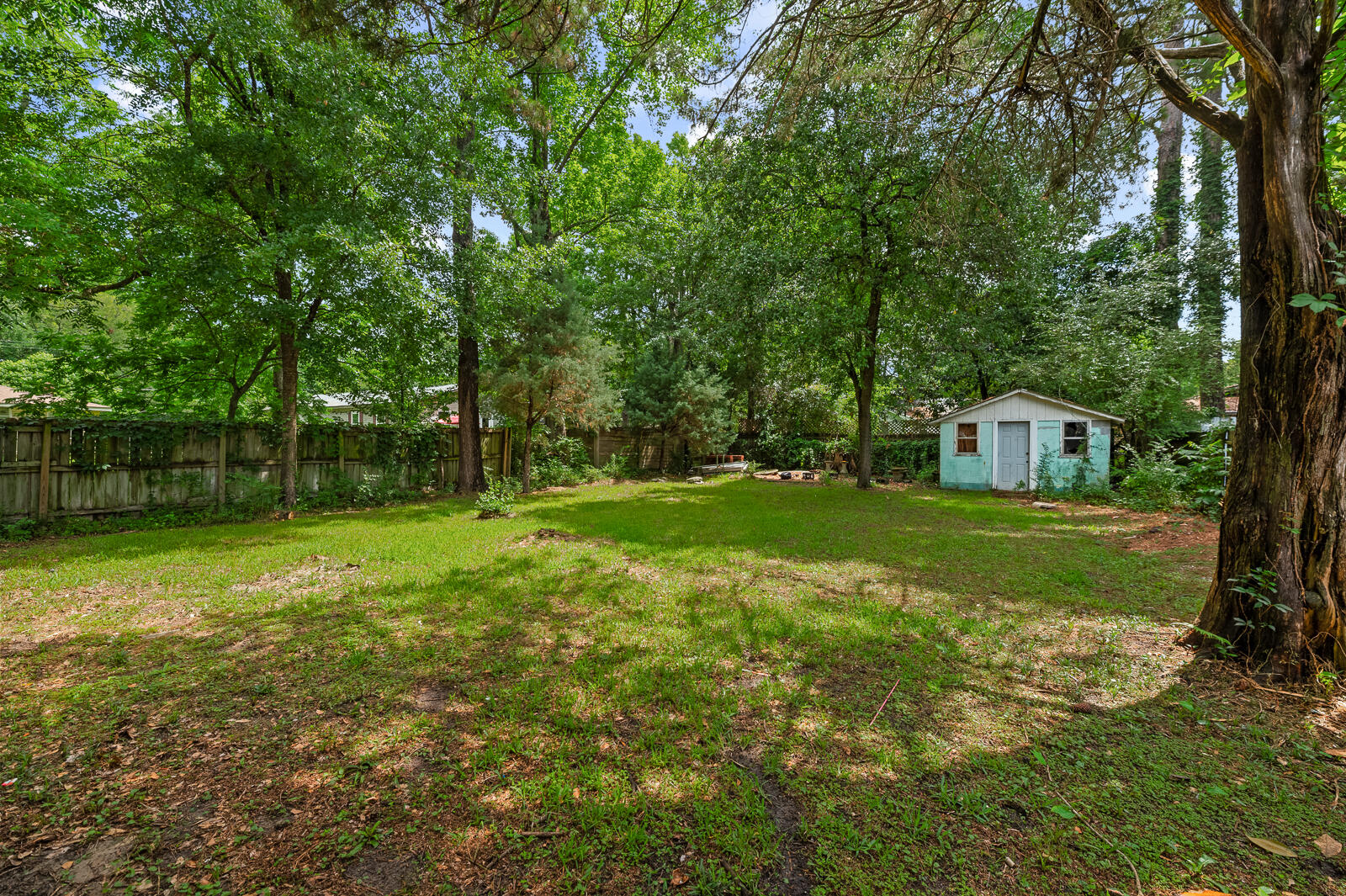 638 Cashew Street