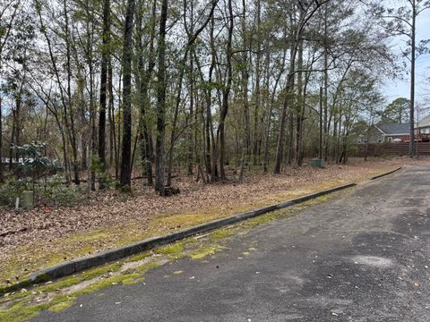 008 Fern Drive Orangeburg SC 29115