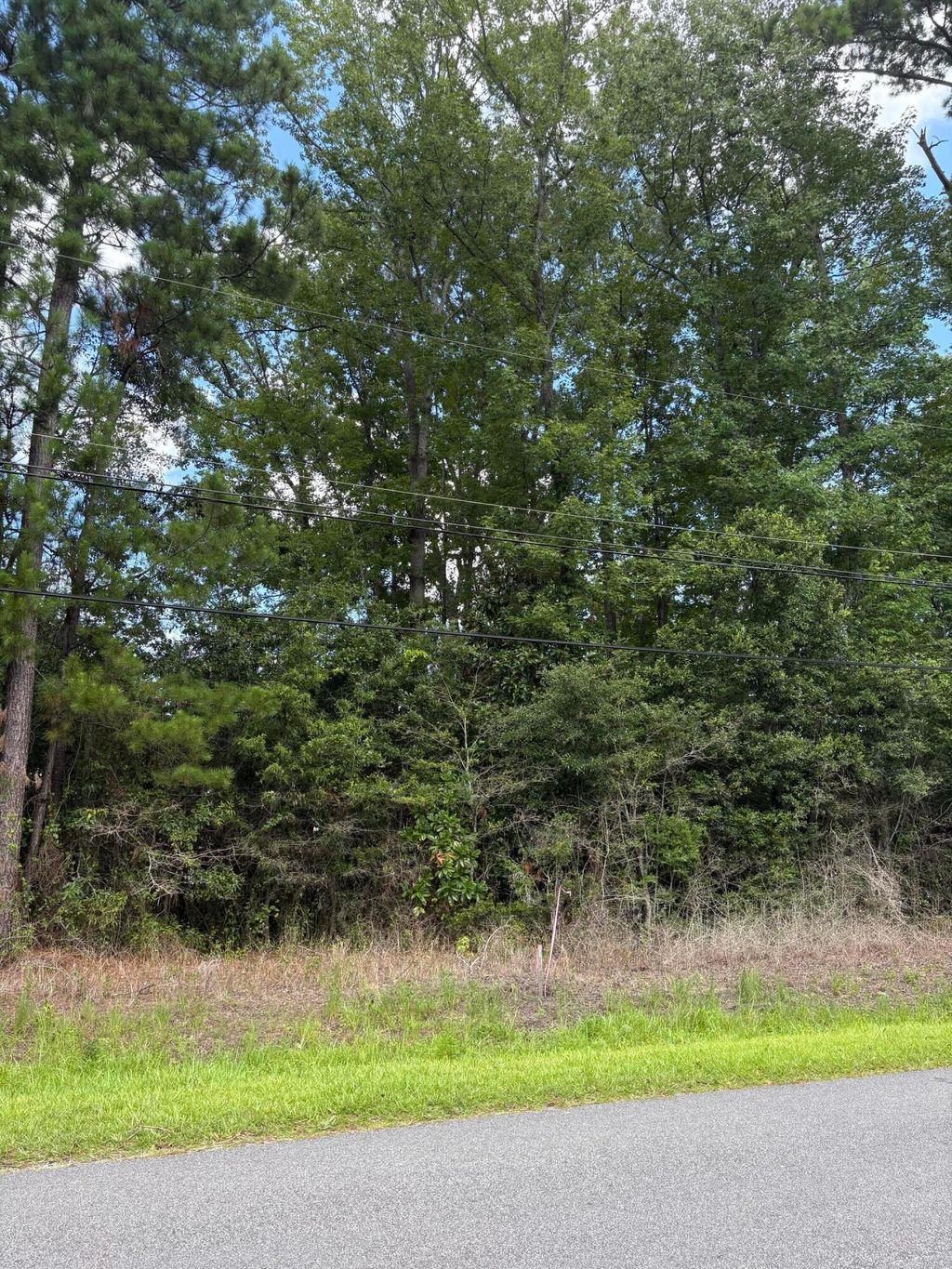 Photo of 0 University Drive #Lot 190, North Charleston, SC 29418 (MLS # 26008021)