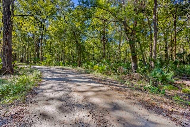 Photo of 4274 River Road, Johns Island, SC 29455 (MLS # 26028834)