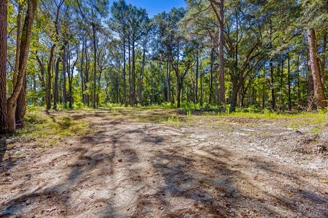 Photo of 4274 River Road, Johns Island, SC 29455 (MLS # 26028834)