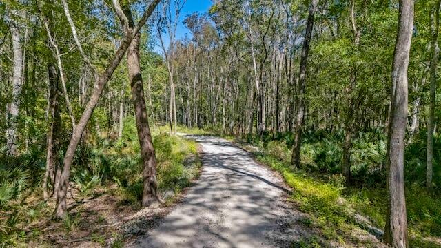 Photo of 4274 River Road, Johns Island, SC 29455 (MLS # 26028834)