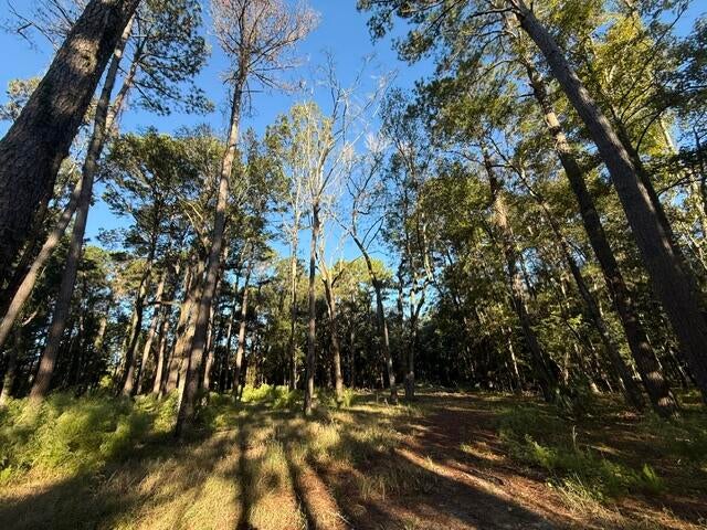 Photo of 4274 River Road, Johns Island, SC 29455 (MLS # 26028834)