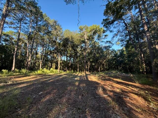 Photo of 4274 River Road, Johns Island, SC 29455 (MLS # 26028834)