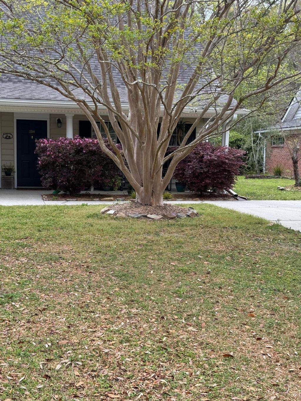 Photo of 3200 Queensgate Way, Mount Pleasant, SC 29466 (MLS # 26001409)