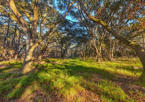 Photo of 0 King Rail Lane, Edisto Island, SC 29438 (MLS # 26005938)