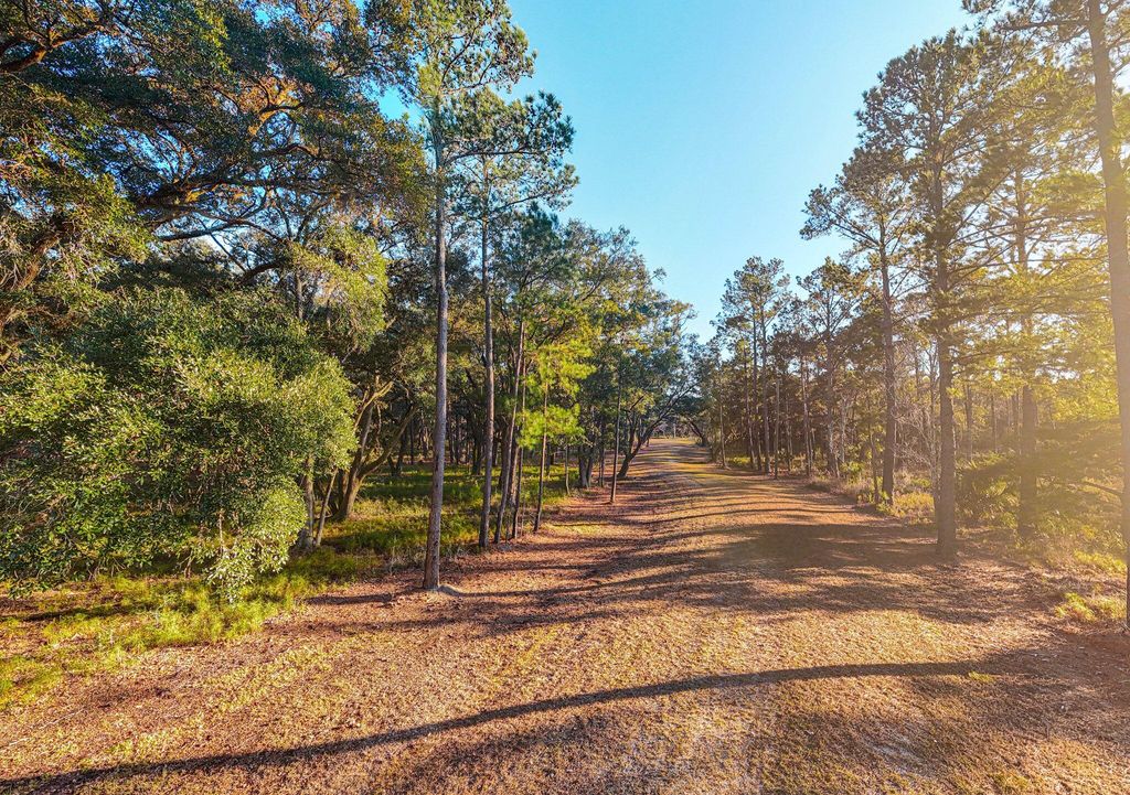 Photo of 0 King Rail Lane, Edisto Island, SC 29438 (MLS # 26005938)